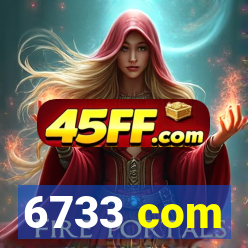 6733 com